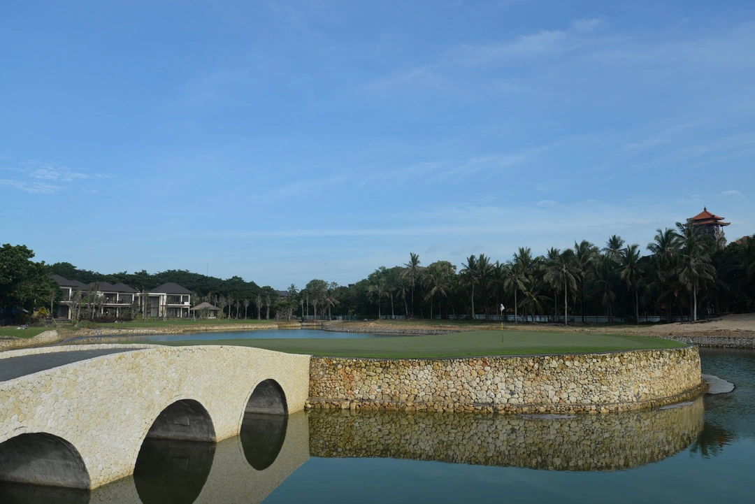 DSC_0330.webp