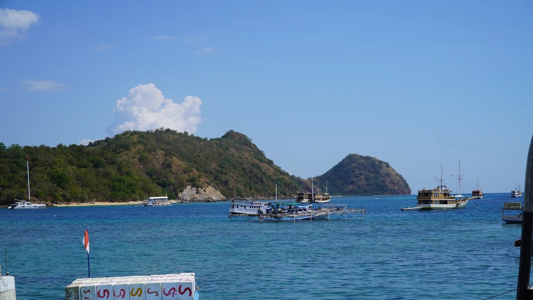 TPI 6.JPG