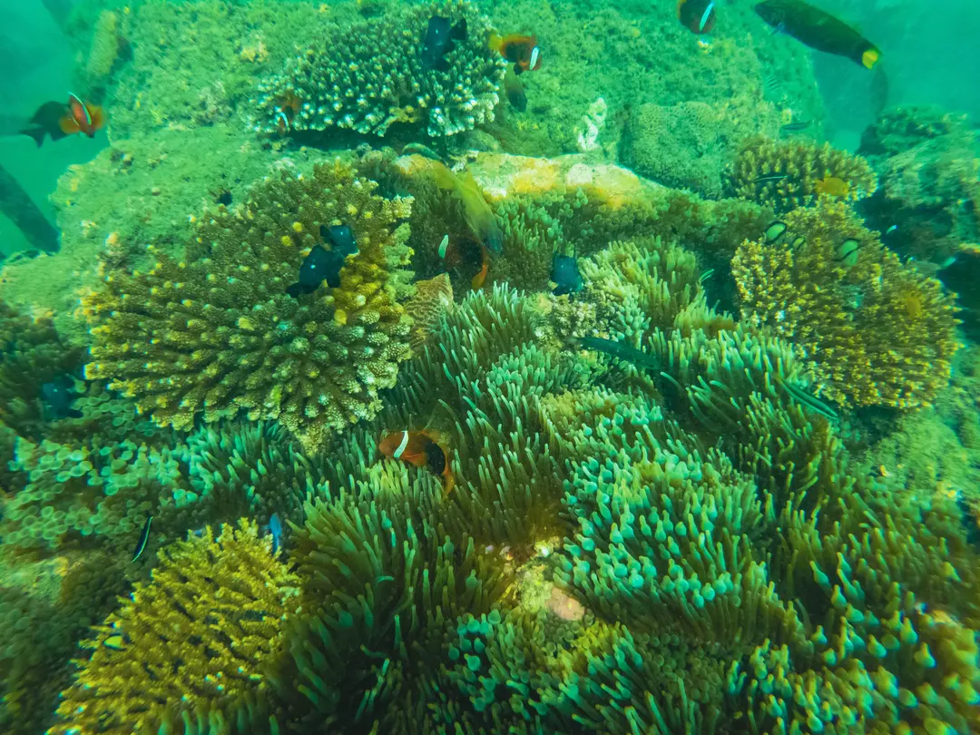 GOPR4785-min.jpg