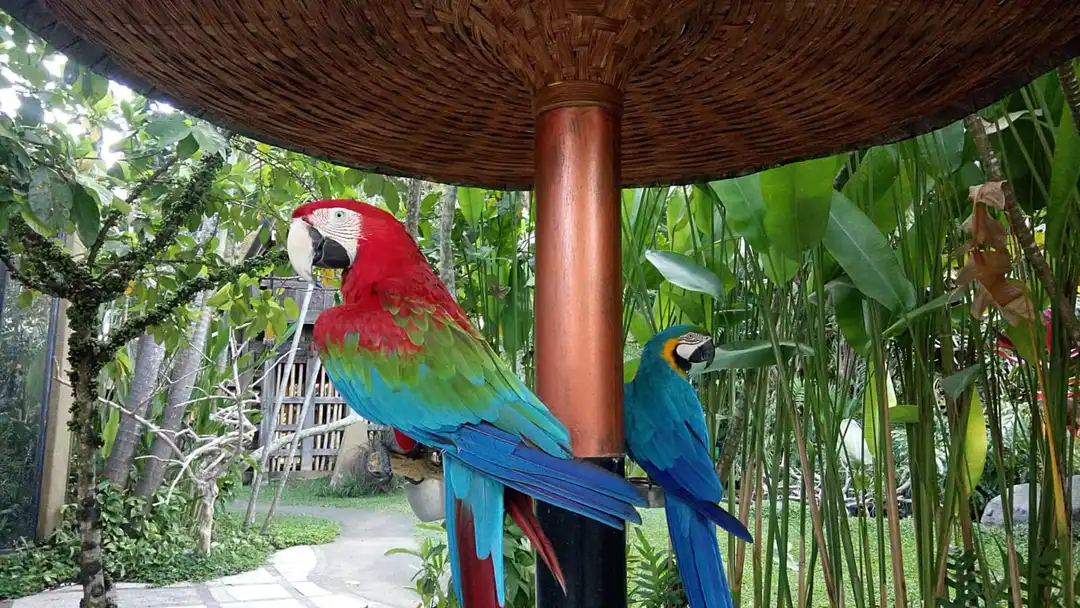 IMG-20221205-WA0009.webp