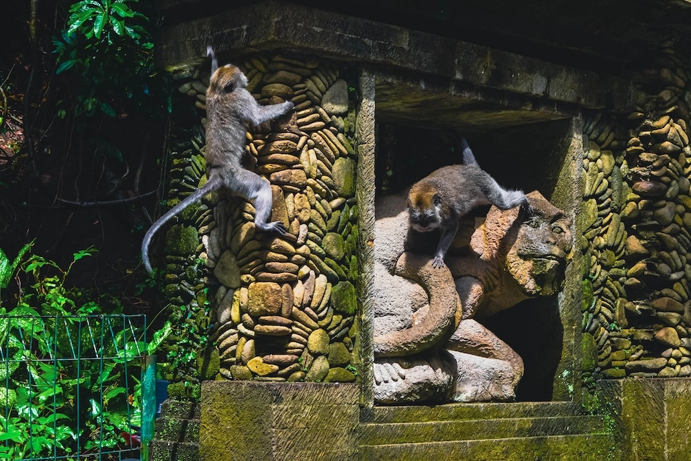 DSC_0049.jpg