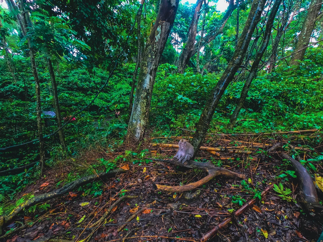 GOPR0640.webp