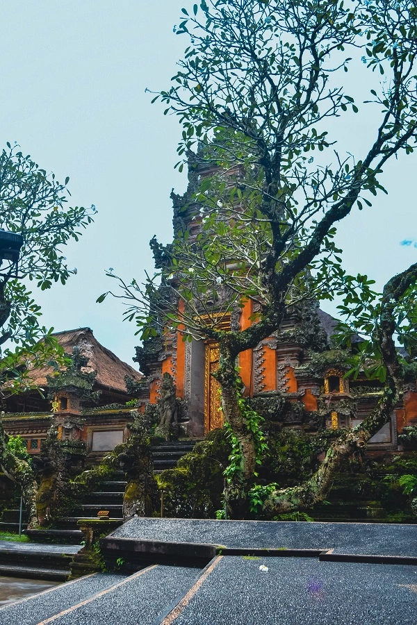 DSC_0087.jpg