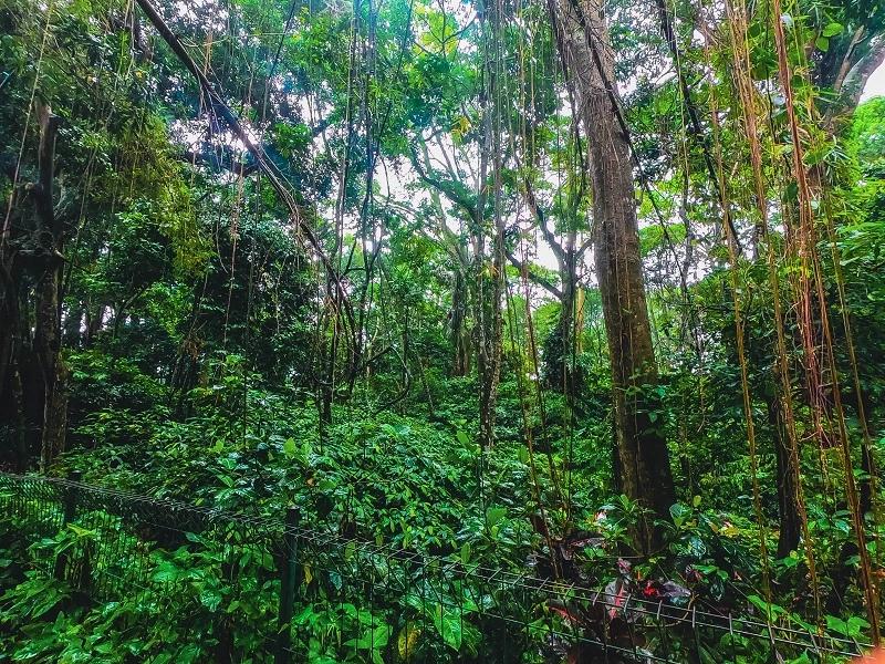 GOPR0638.jpg