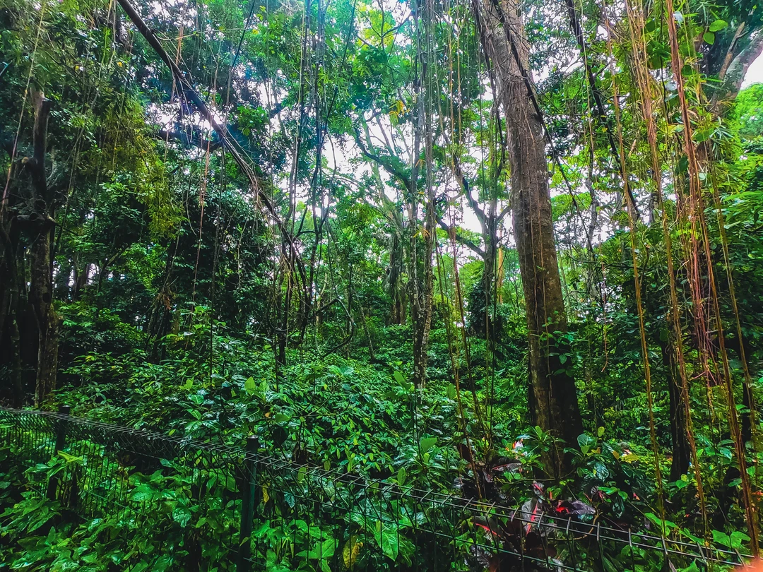 GOPR0638.webp