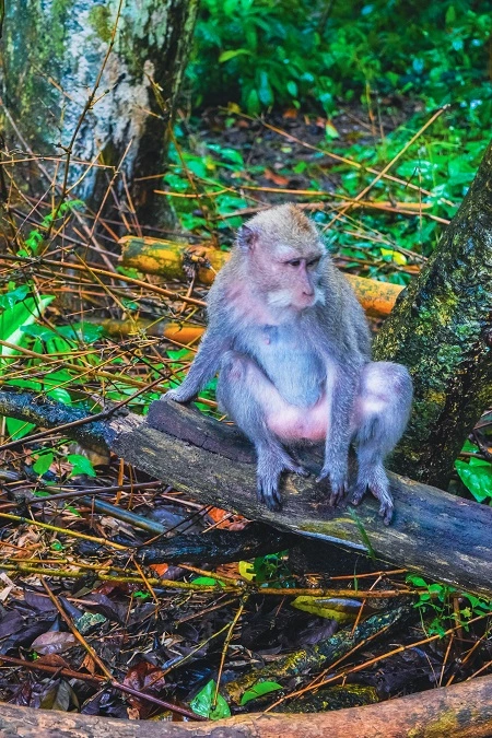 DSC_0069.jpg