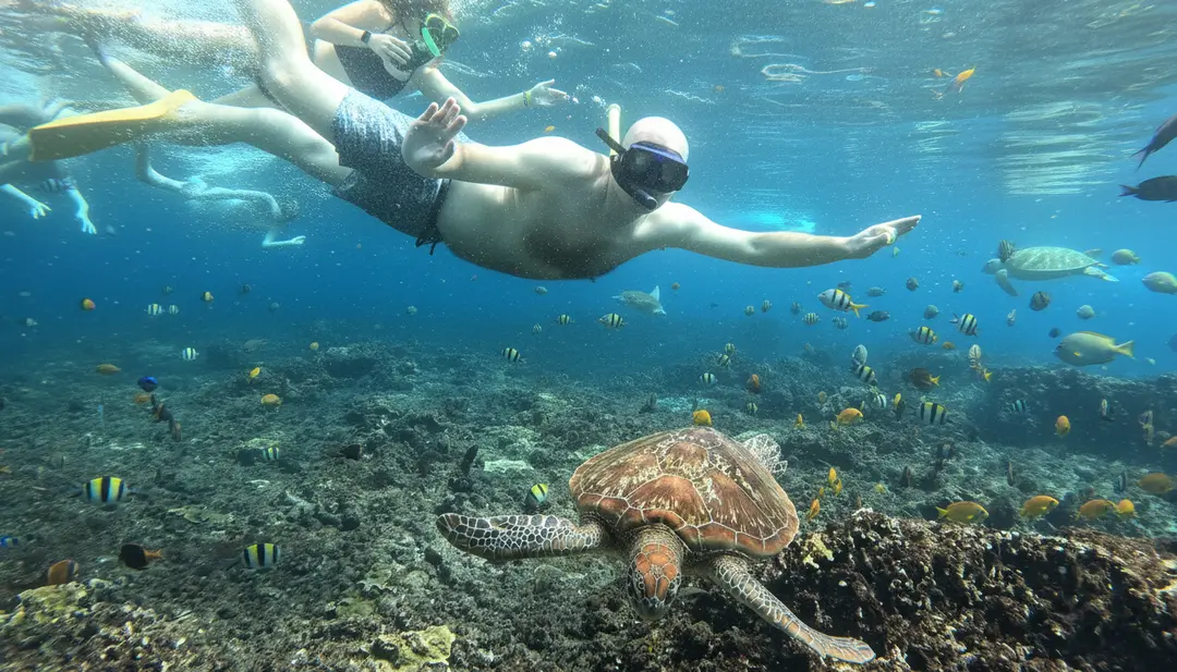 SNORKELING NUSA PENIDA 1.png