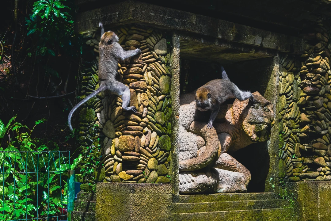 DSC_0049.jpg