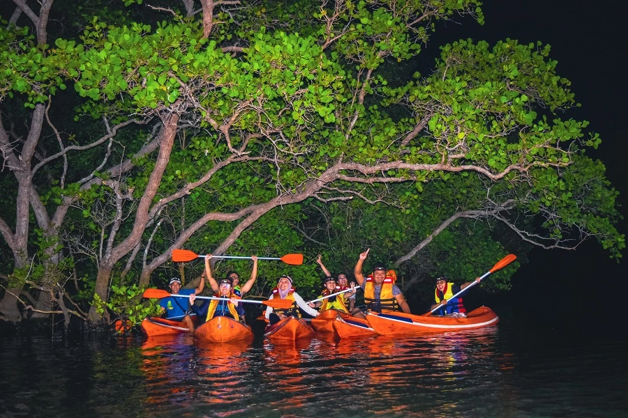 DSC_0244.jpg