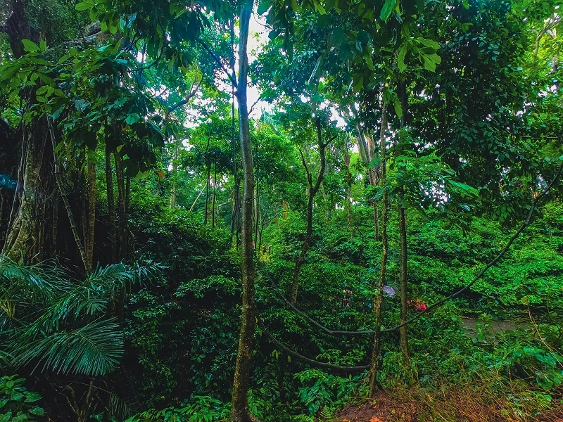 GOPR0639.jpg