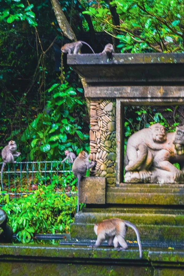 DSC_0056.jpg