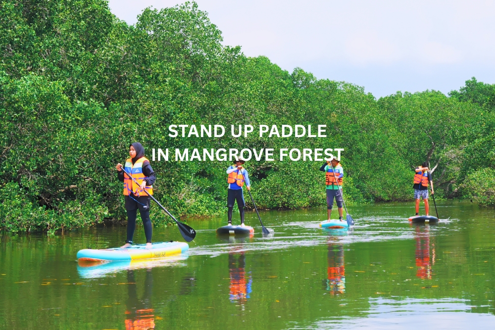 slider website kura2bus 1.jpg