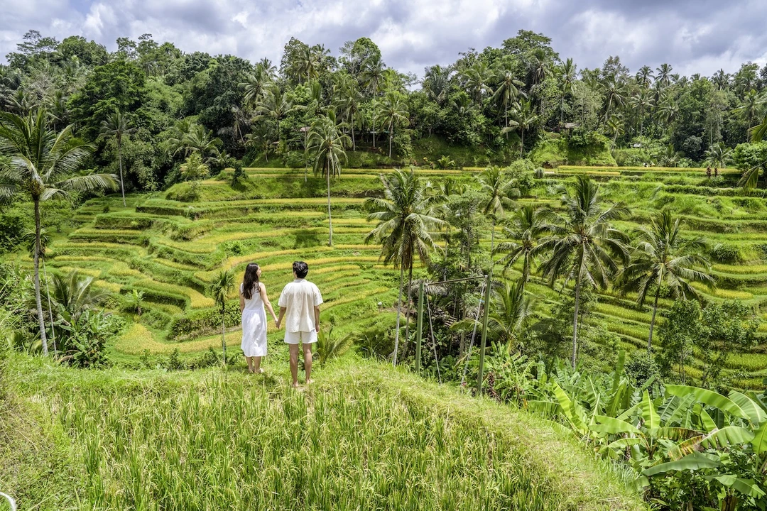 Jatiluwih UNESCO rice terrace landscape in Bali