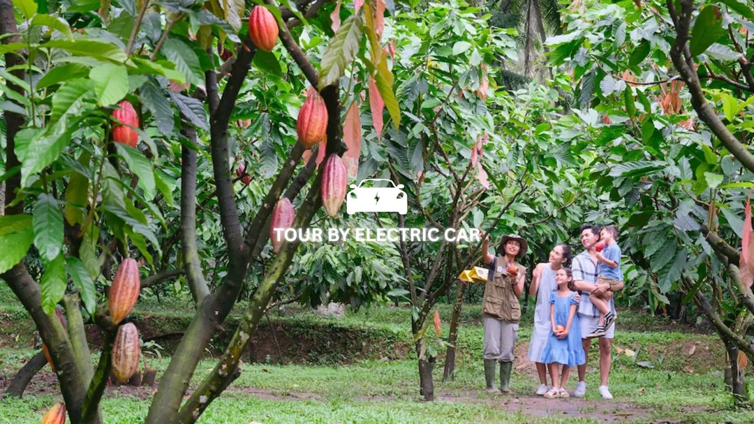 Electric car tour at chocolate farm in Bali
