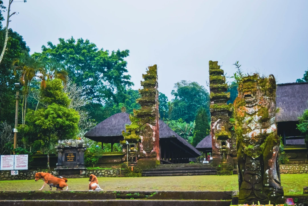 DSC_0516.webp