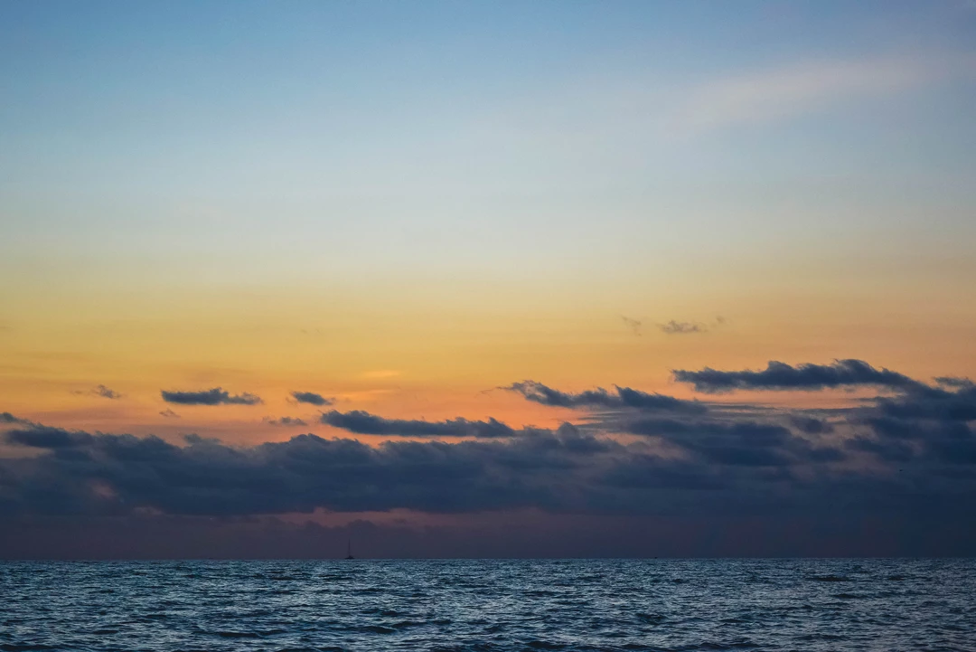 DSC_0096-min.webp