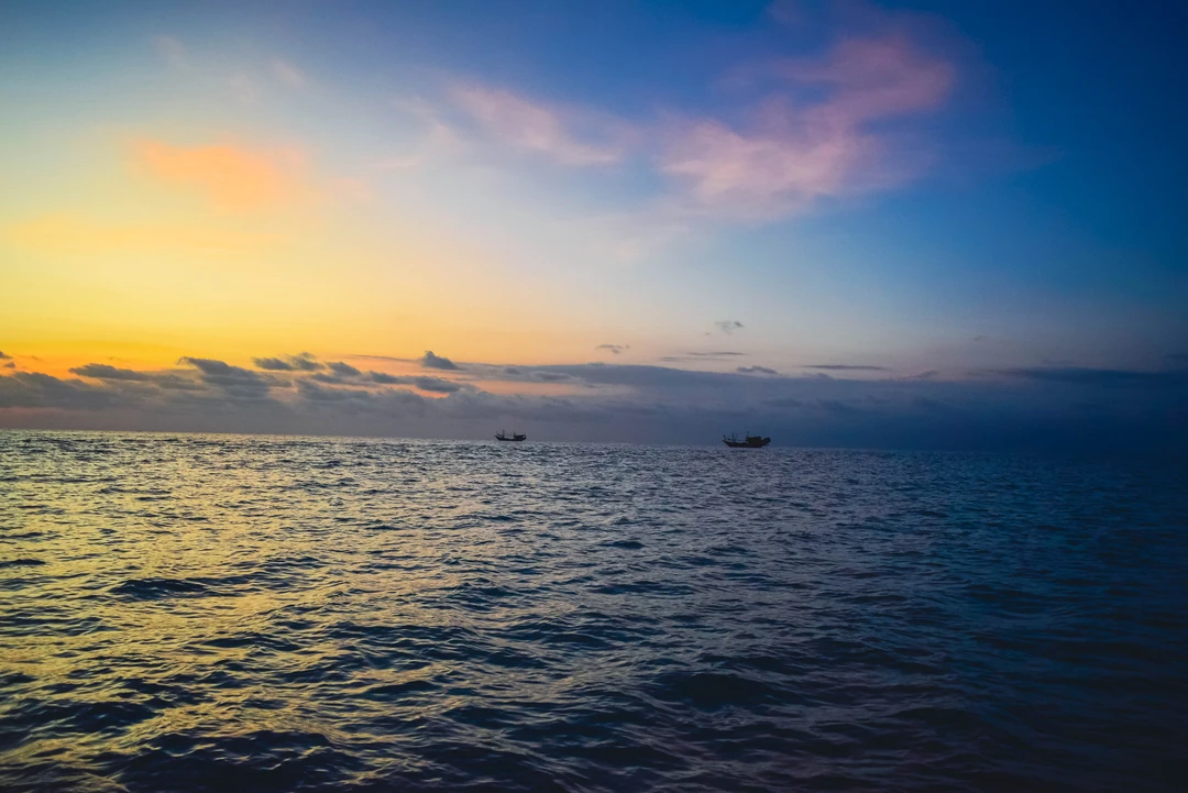 DSC_0113-min.webp