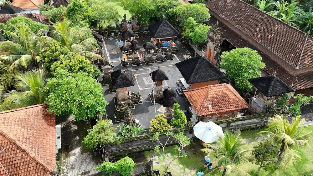 DESA8.jpg
