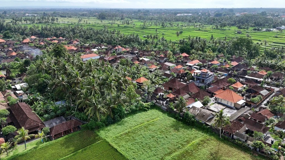 DESA9.jpg